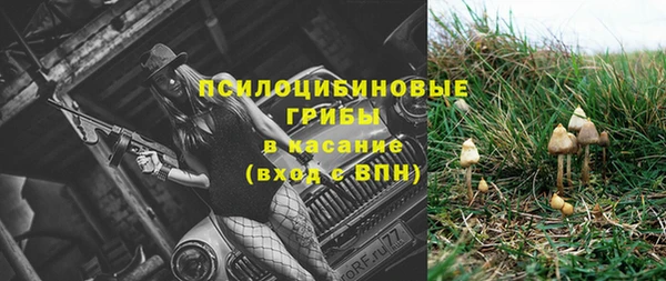 Альфа ПВП Абаза