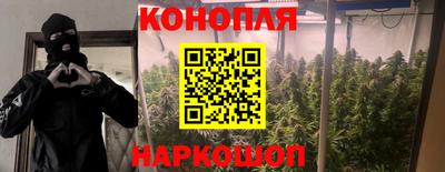 крисы Волжск
