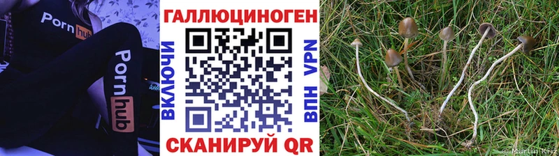 Галлюциногенные грибы мухоморы  Великий Новгород 